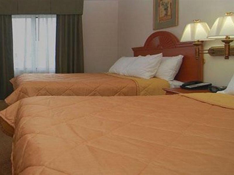 Comfort Suites Fort Pierce I-95 Rum bild